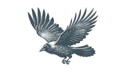 Fototapeta premium crow vector, raven vector