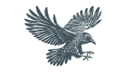 crow vector, raven vector