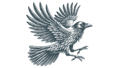 crow vector, raven vector