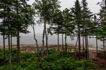 Morning at Gouldsboro Bay, Maine