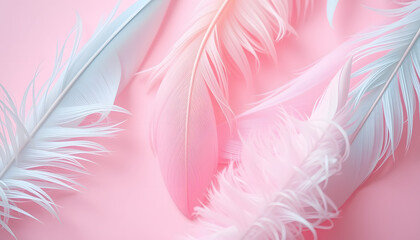Obraz premium Pastel color feathers on pink background. isolated with white shades