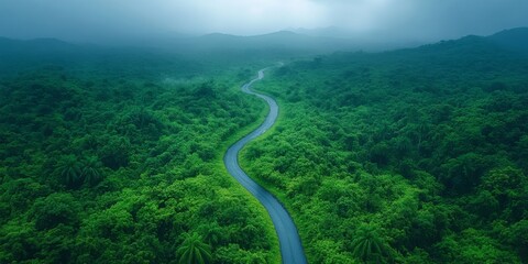 Aerial View of Lush Green Forest with Curved Road in Foggy Landscape