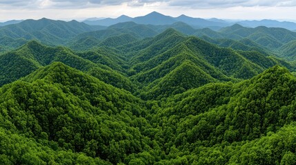 Obraz premium A panoramic view of lush green mountains under a cloudy sky.