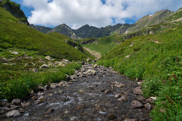 The valley of the Malaya Dukka River on the slopes of the Arkasar ridge in the North Caucasus and the tourist trail to the Dukka Lakes on a sunny summer day, Arkhyz, Karachay-Cherkessia, Russia