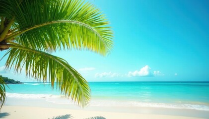 Fototapeta premium Coconut leaf silhouette against bright blue sky on clean sand beach with gentle waves, sandy beach, coconut leaf, blue sky