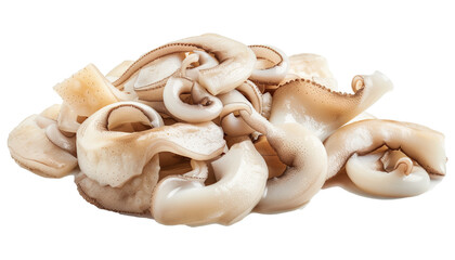 Premium Group of Sliced Squid Isolated on Transparent Background, Realistic Food Illustration, Generative AI