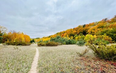 Fototapeta premium Colorful fall pathway