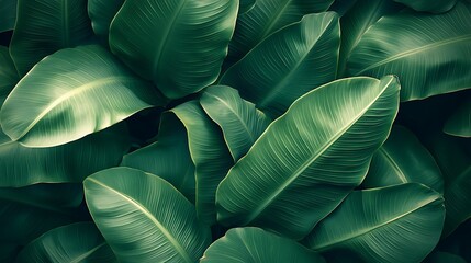 Obraz premium Vibrant green leaves lush forest nature photography close-up view