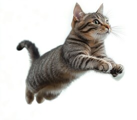 Obraz premium Playful Tabby Cat Leaping in Air Fun Action Scene