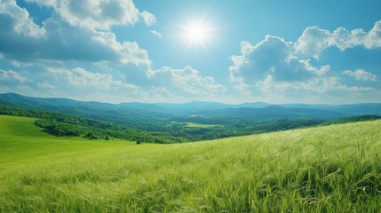 Obraz premium Sunny day over rolling green hills and fields.