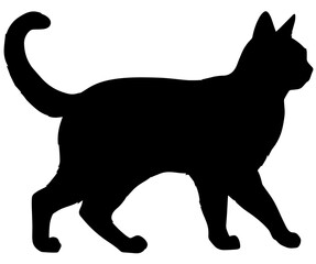 Simple Cat Face Illustration