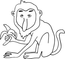 funny proboscis monkey with a big nose sits holding a banana and looking at the camera