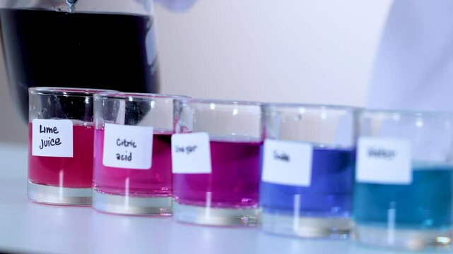 Butterfly Pea Flower pH Indicator Experiment