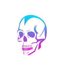 Fototapeta premium Gradient Skull Design, Colorful Human Skull Illustration, Anatomy Art