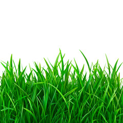 Fototapeta premium green grass cut out field isolated on transparent background