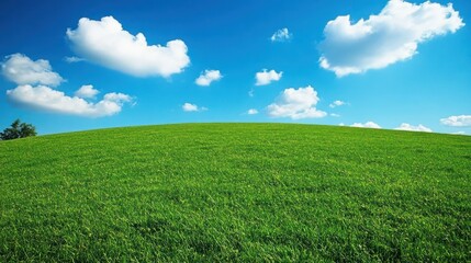 Obraz premium Lush green hill under a vibrant blue sky with fluffy clouds.