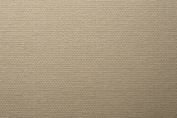 Fototapeta premium Smooth Beige Fabric with Subtle Ribbed Texture and Soft Shine