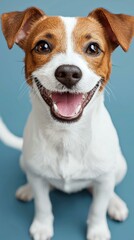 Happy dog. AI.
