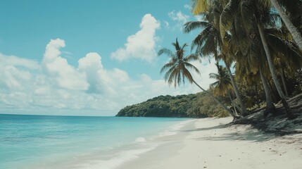 Tropical beach paradise with white sand, turquoise water and swaying palm trees under a clear blue sky