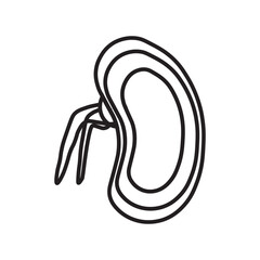 dicot seed line icon