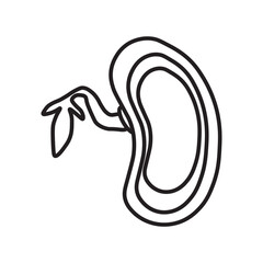 Dicot seed line icon