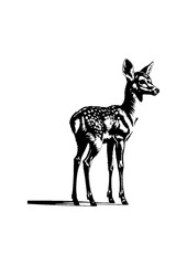illustration of young deer, Baby deer icon Black and white .