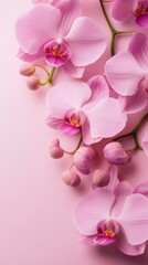 Obraz premium Create a beautiful composition of delicate orchid flowers arranged elegantly on a soft pastel pink background, with the flowers' intricate details highlighted, and a generous blank space on the side