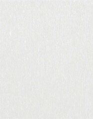 Obraz premium 紙（白色）