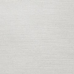 Obraz premium 紙（白色）