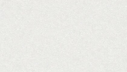 Obraz premium 紙（白色）