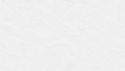 Obraz premium 紙（白色）