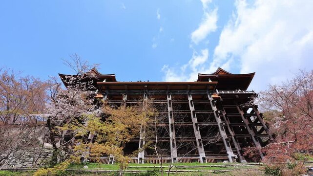 清水の舞台」の写真素材 | 760件の無料イラスト画像 | Adobe Stock