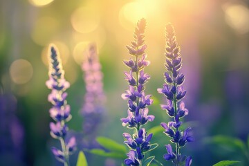 Obraz premium Vibrant Spring Garden with Soft Natural Light