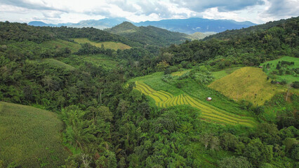 Aerial landscape view of mountains and rice terrace