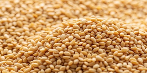 Fototapeta premium A close-up shot of a sesame seed , detailed image, food photograph, detailed image