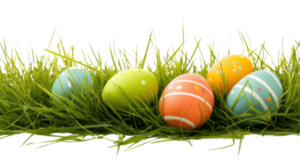 Colorful easter eggs hiding in green grass with transparent background