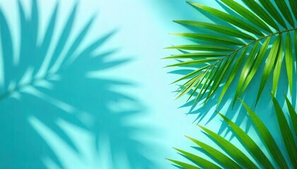 Obraz premium Tropical greenery and shadows beachside oasis nature photography bright environment close-up perspective