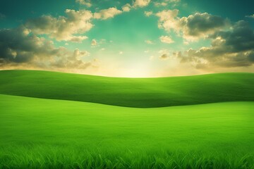 Fototapeta premium Field of green grass and sky 