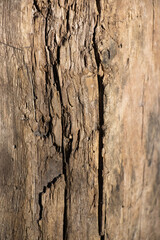 Old grunge brown dark textured wooden background , The surface of the old brown wood texture