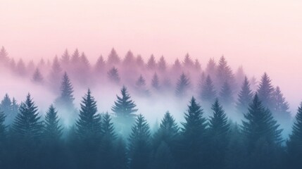 Seamless aerial background of fog rolling over a dense pine forest during sunrise
