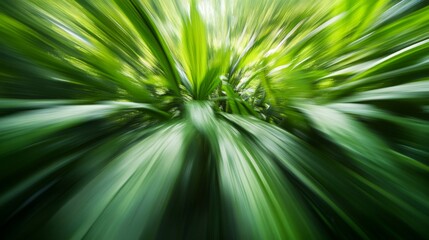 Obraz premium Vibrant Green Tropical Foliage Zoom Burst