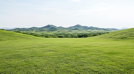 Fototapeta premium Rolling green hills, sunny day, peaceful landscape, nature background, ideal for travel brochures
