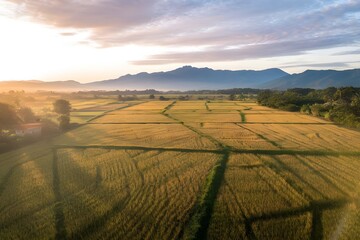 Patterned Landscapes.Aerial View of a Lush Field.