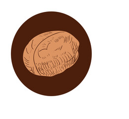 New in spring - Nuts dried food colored icon pack