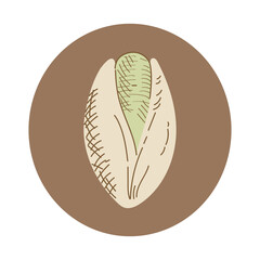 New in spring - Nuts dried food colored icon pack