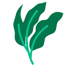 Illustration of a Leaf