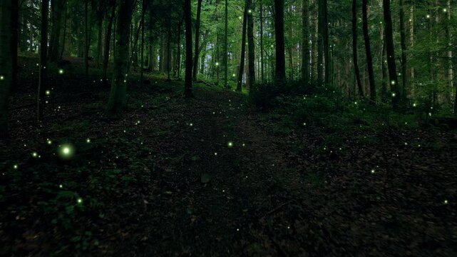 Mystic dark green forest with flickering fireflies.