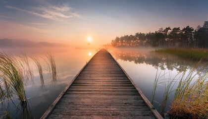 Obraz premium sunrise over the lake with tree