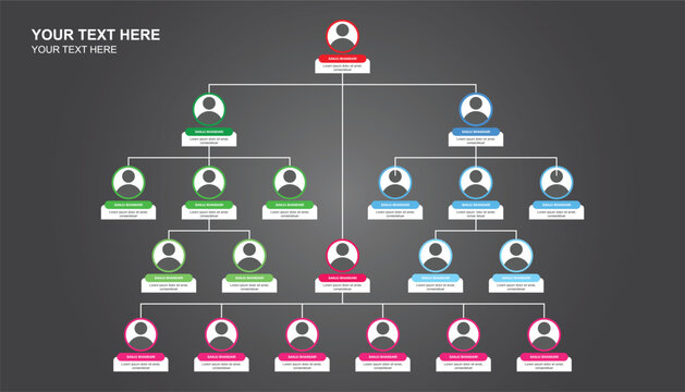 Business hierarchy organogram chart infographics. long business team tree. tree diagram. team management. organizational chart. company organization branches template