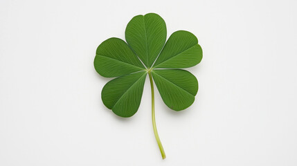 Four-Leaf Clover: A vibrant, detailed close-up of a four-leaf clover, showcasing its rich green color and delicate leaf structure.  The image evokes luck, good fortune.